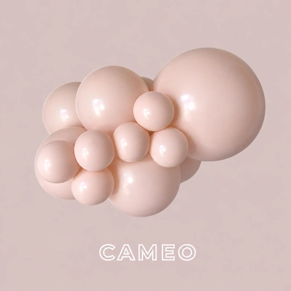 Custom Latex Balloon Garland Kit